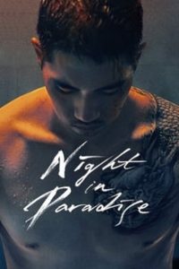 Night in Paradise (2020)